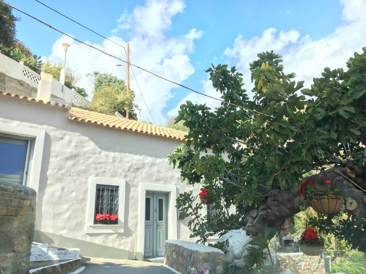 הוילה Apérion Casa Metropolis מראה חיצוני תמונה