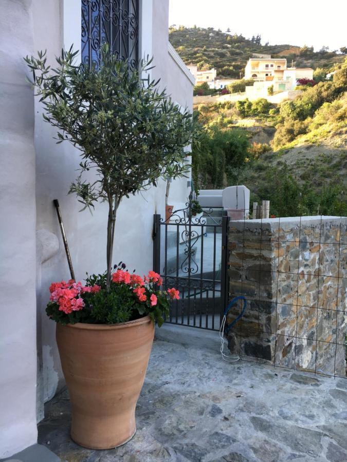 הוילה Apérion Casa Metropolis מראה חיצוני תמונה